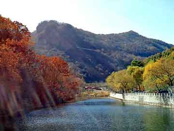 澳门二四六天天彩图库，夏利维修